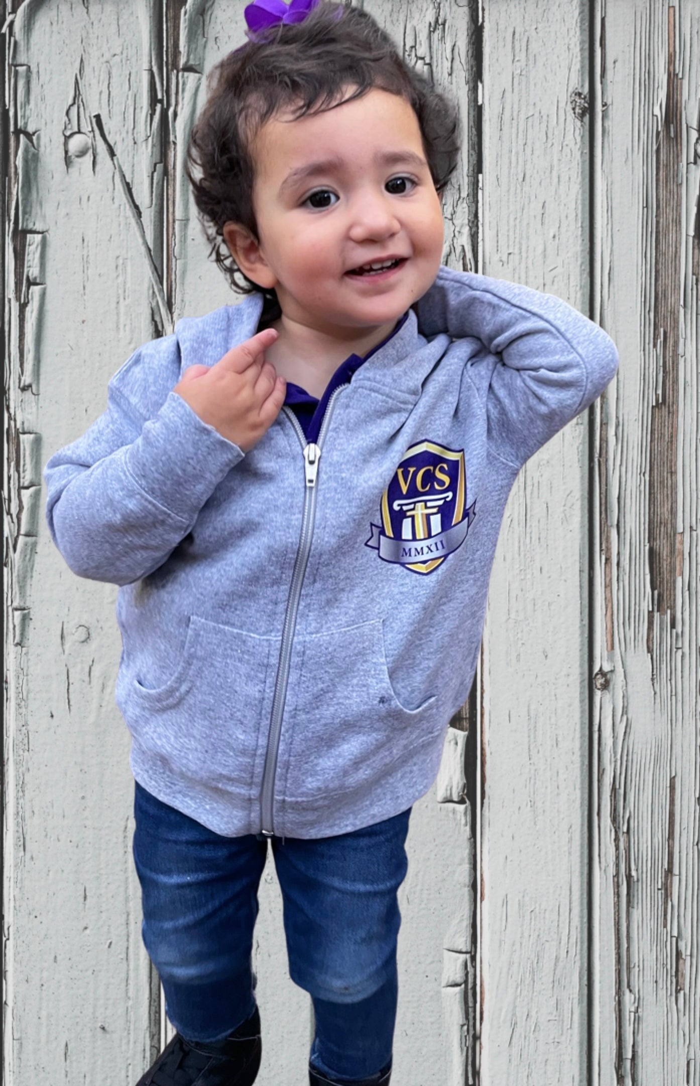 VCS Zip Hoodie – Vcsmerch