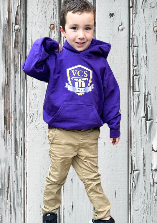 RTS VCS YOUTH HOODIE